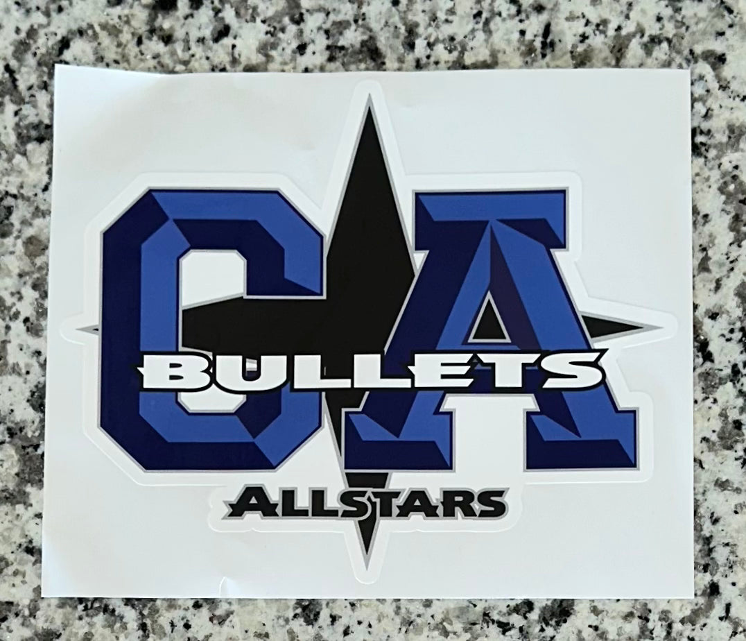 Car Decal - Vinyl (Non-Bling)