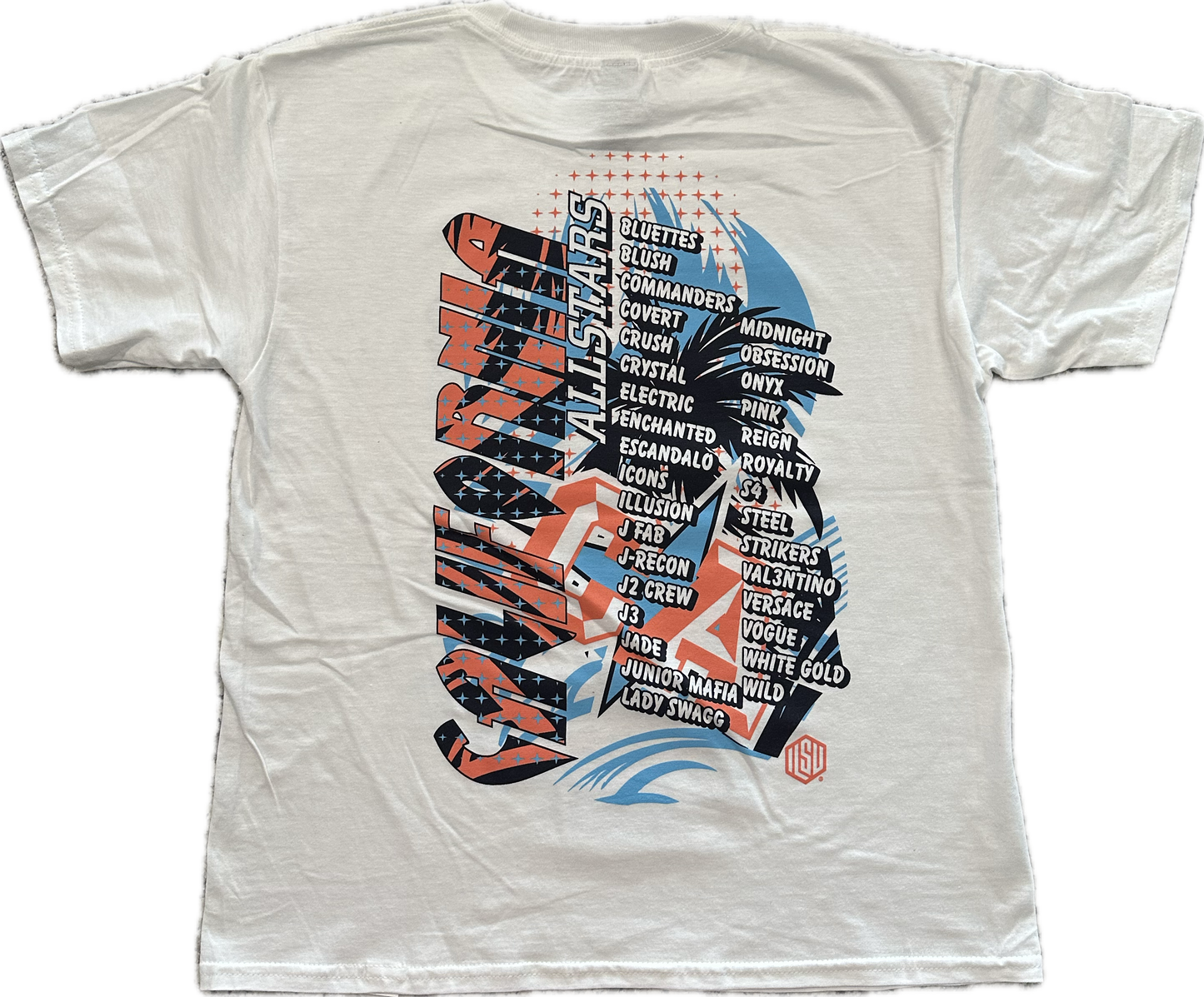 SUMMIT 2025 Program T-Shirt