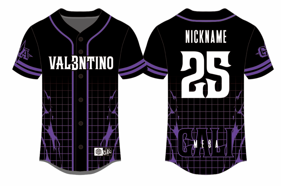 Sublimated Team Baseball Jersey 25-26 (Mesa)