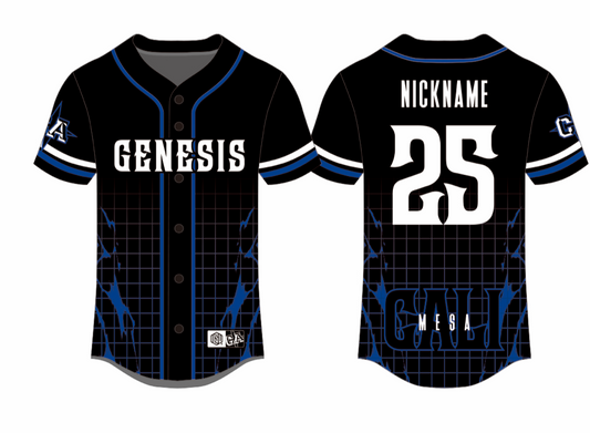 Sublimated Team Baseball Jersey 25-26 (Mesa)