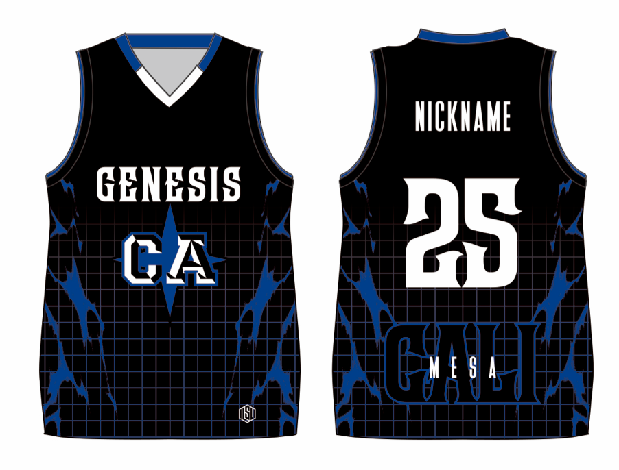 Team Basketball Jersey 25-26 (Mesa)