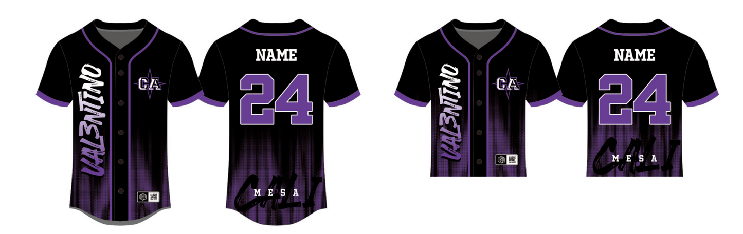 Sublimated Team Baseball Jersey 24-25 (Mesa)