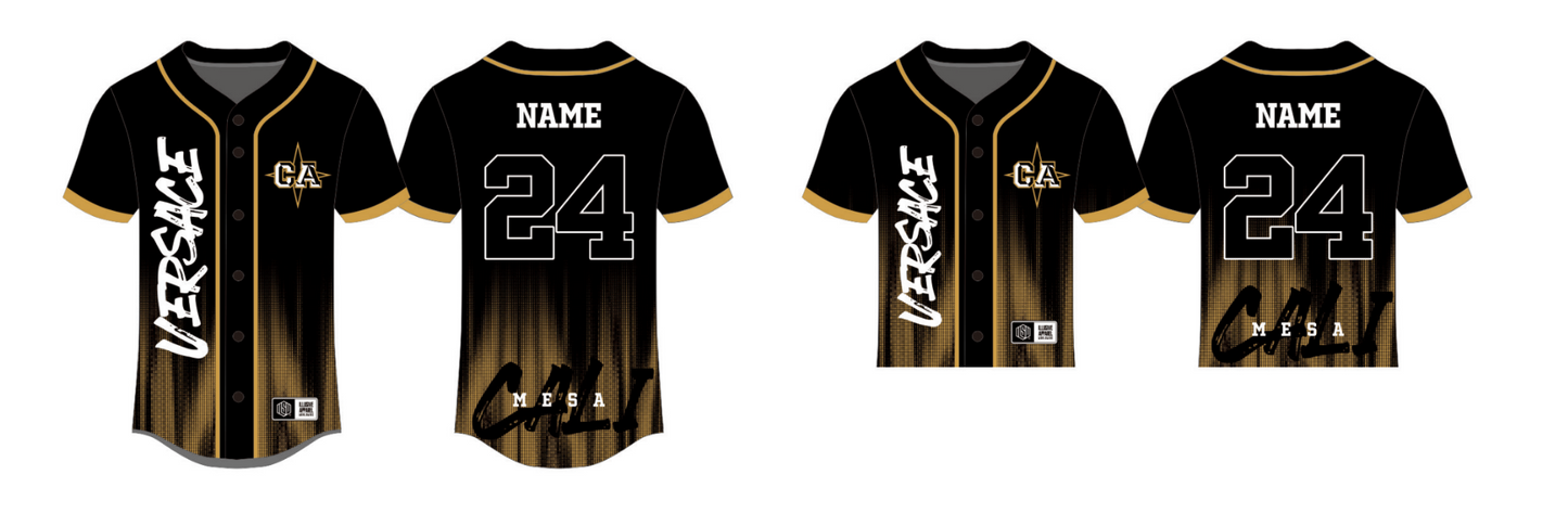 Sublimated Team Baseball Jersey 24-25 (Mesa)