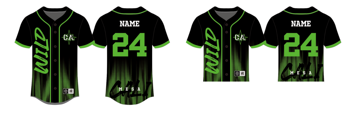 Sublimated Team Baseball Jersey 24-25 (Mesa)