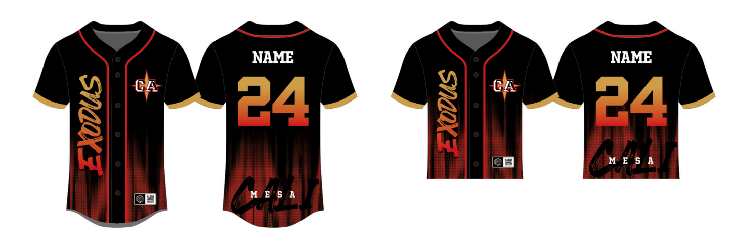 Sublimated Team Baseball Jersey 24-25 (Mesa)